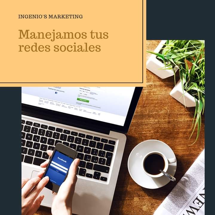 Proyecto 2